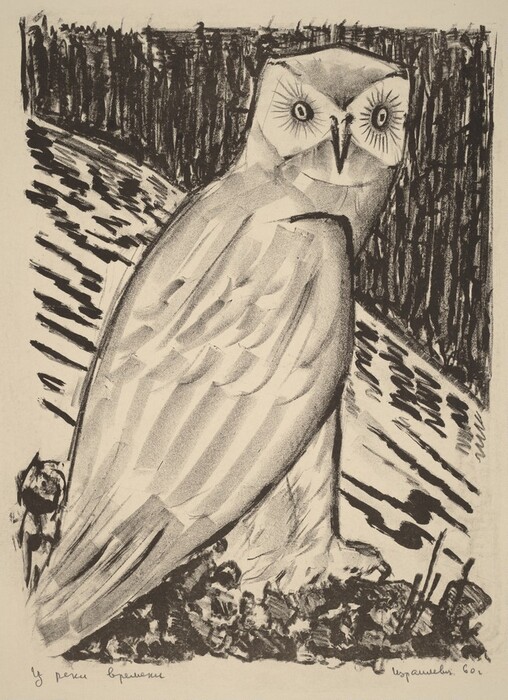 This is a drawing of an owl sitting outdoors. The drawing features an owl prominently in the center, depicted with large, exaggerated eyes and stylized, simplified forms. The background consists of dark, vertical lines suggesting a dense forest or woodland setting, juxtaposed against horizontal strokes. The owl's form is detailed through varying shades of black and white, with the texture of its feathers indicated by lines and shading. A small detail at the bottom left shows foliage or rocky ground.
