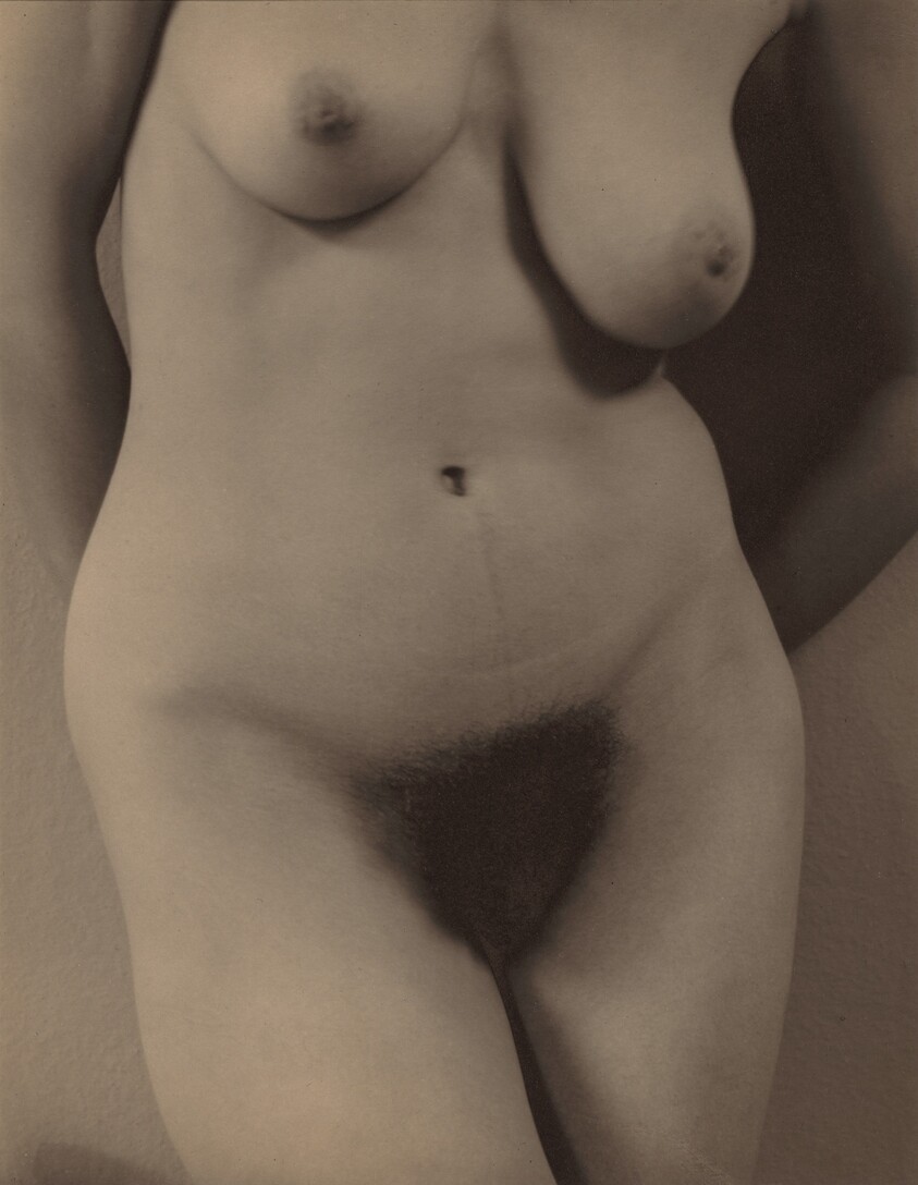 Georgia O'Keeffe—Torso