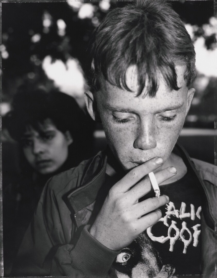 Early Morning, Plummer Park