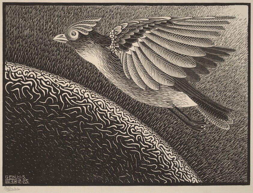 The First Day of the Creation