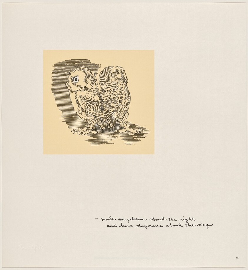 Owl Feathers: page 30