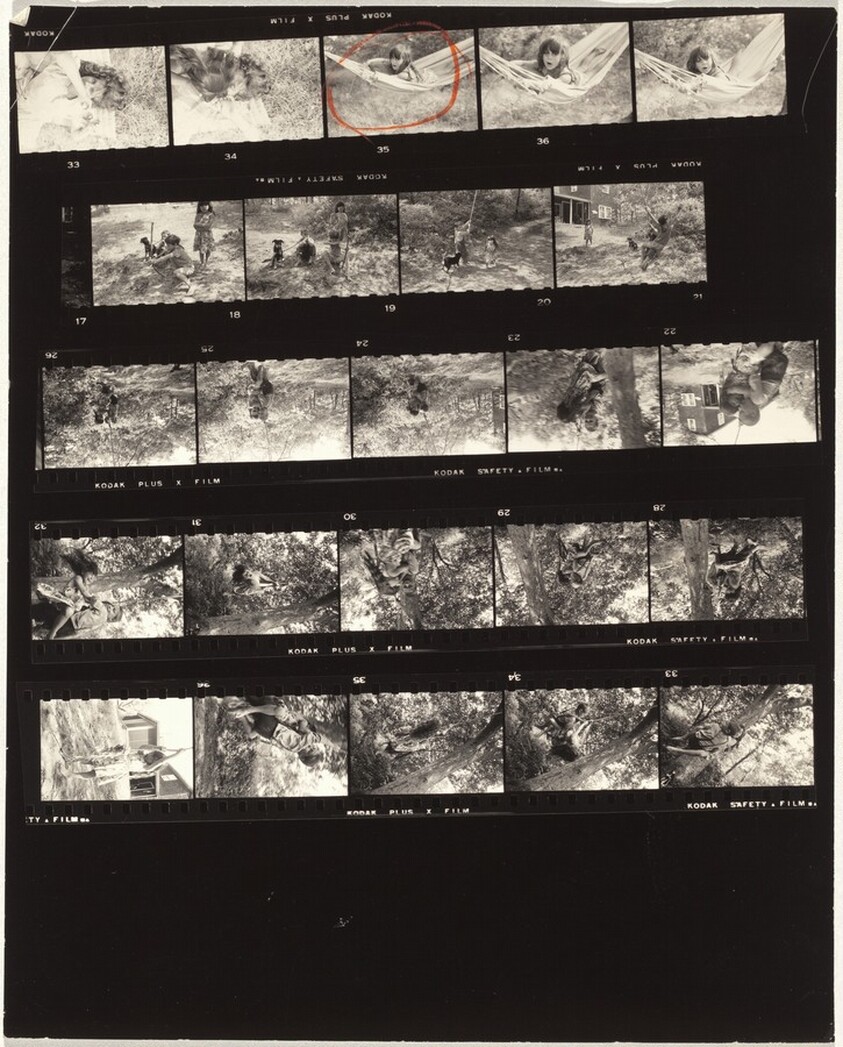 Family in Provincetown 2