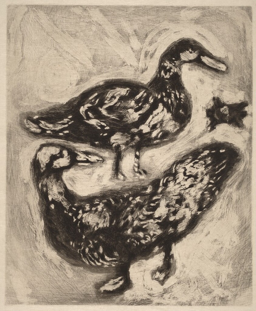 The Tortoise and the Two Ducks