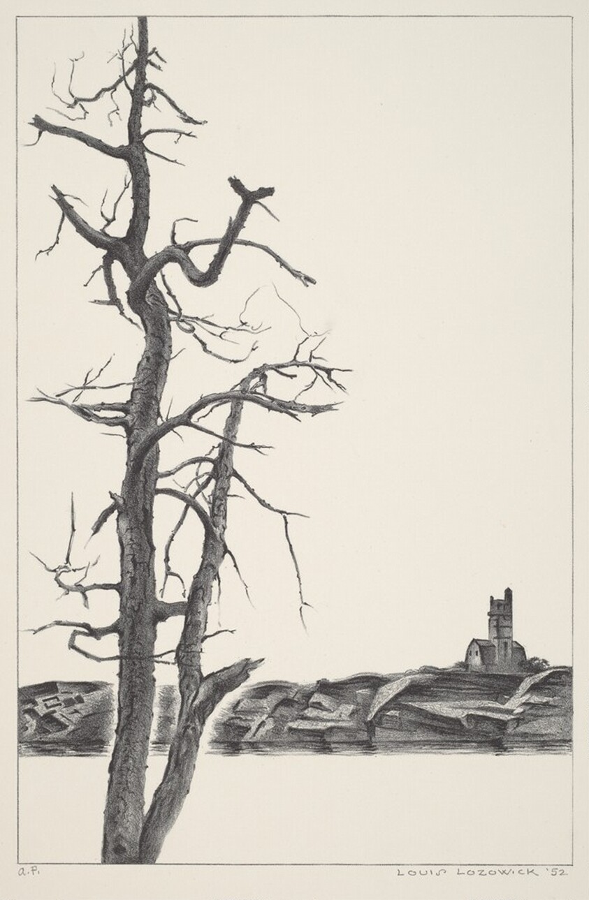 Halibut Point, Rockport