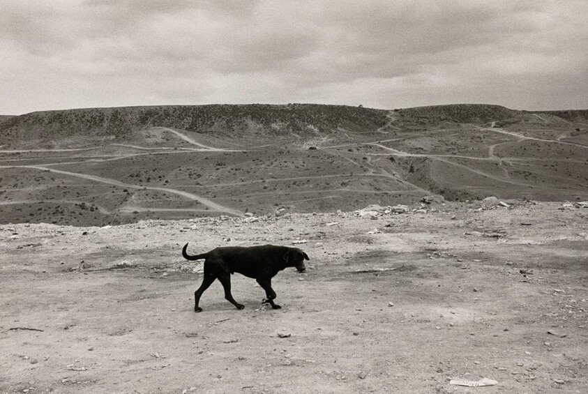 La frontera, Tijuana, México (The Border, Tijuana, Mexico)
