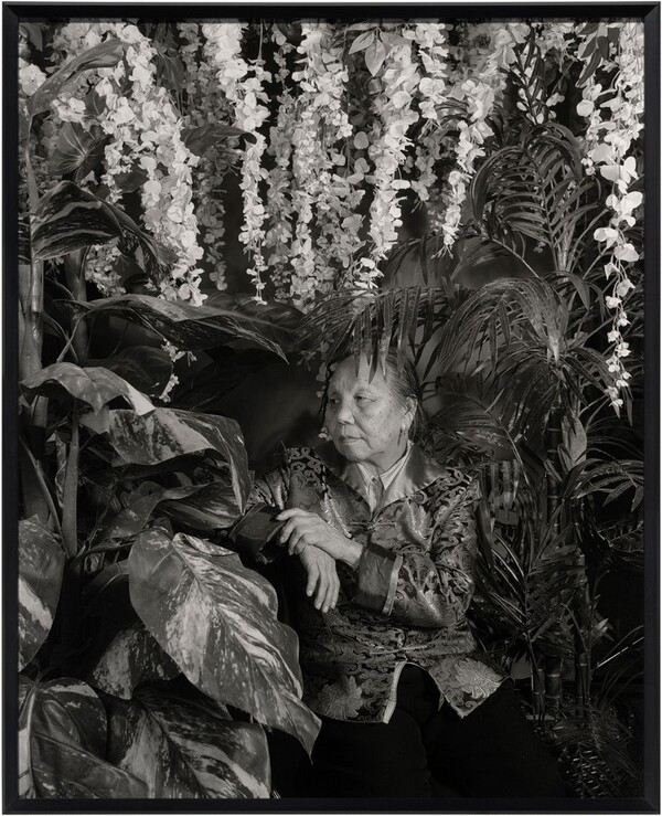 Untitled (Portrait)