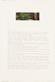 This is a photograph of a small hillside covered with green foliage and a bright red patch beneath a tree trunk. The scene captures a small natural environment with a focus on the contrast between the lush green and the striking red. The photograph is mounted on a piece of paper with a handwritten text below it. The text appears to be an entry dated October 11, 2003.
