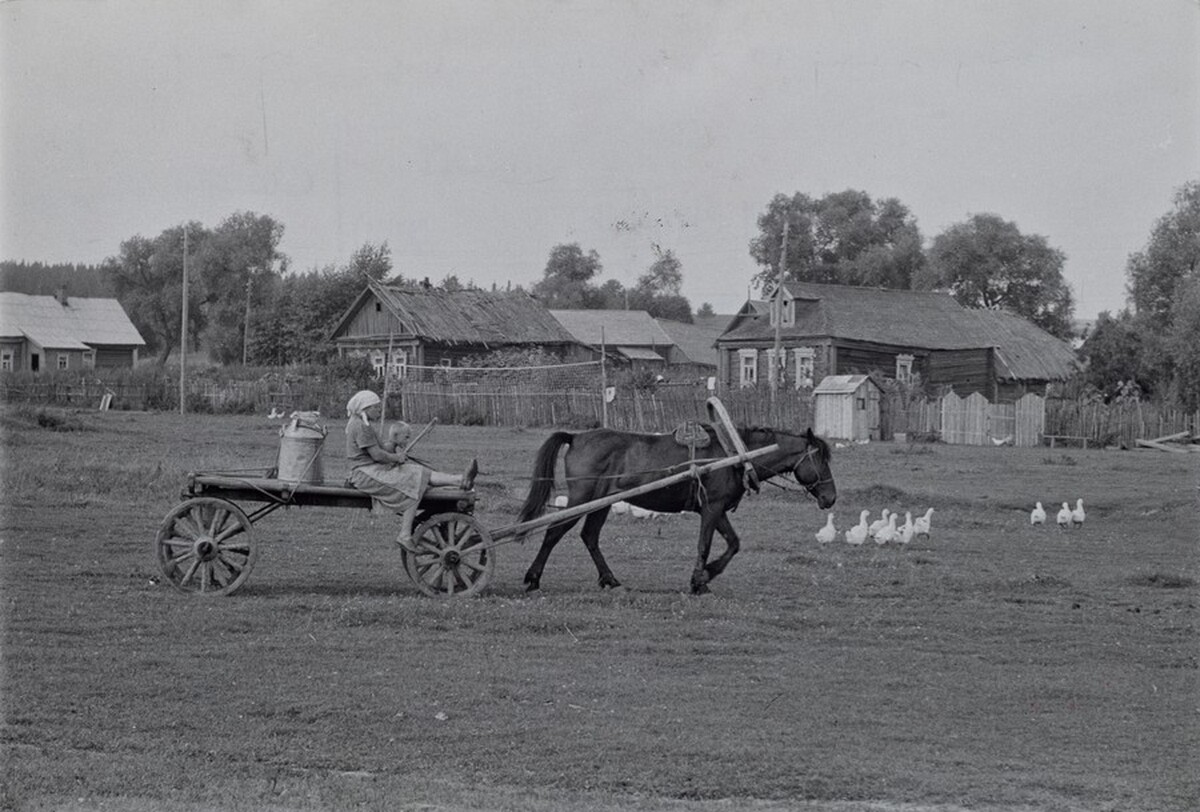 Collective Farm, Uzbekistan