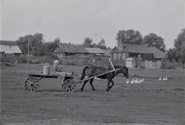 Collective Farm, Uzbekistan