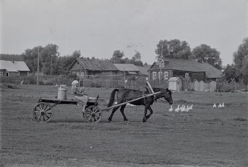 Collective Farm, Uzbekistan