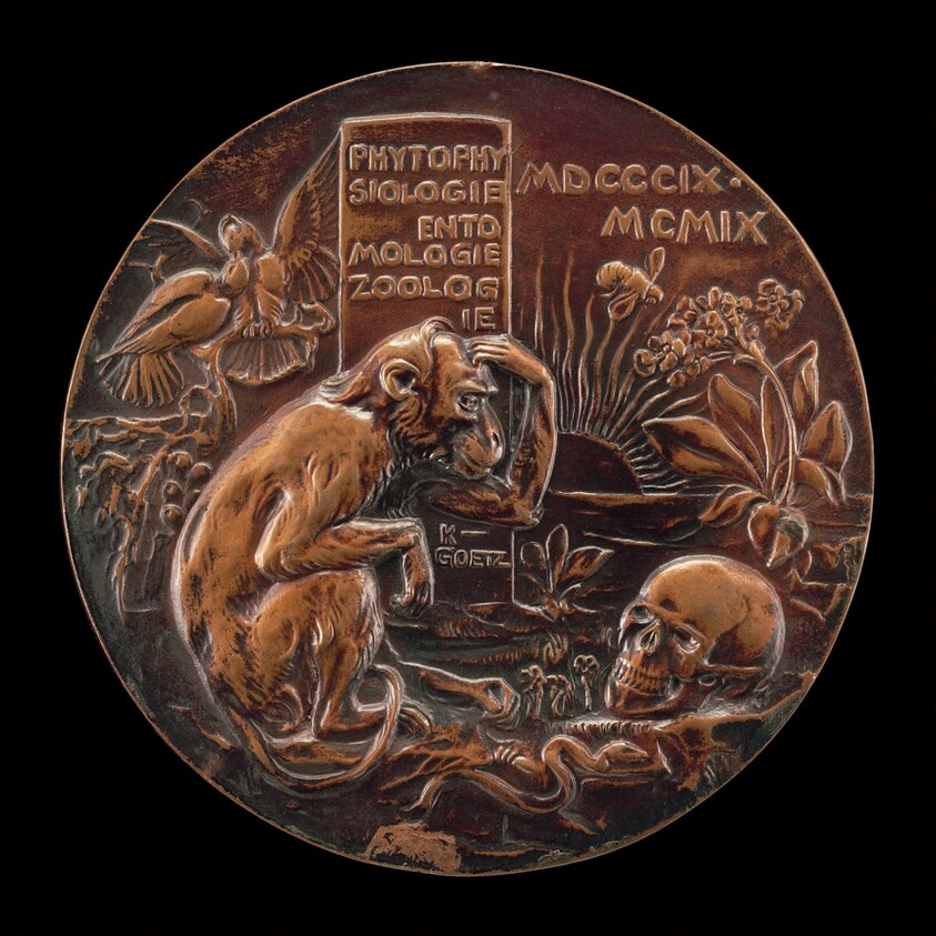 Monkey Contemplating a Human Skull in a Landscape [reverse]
