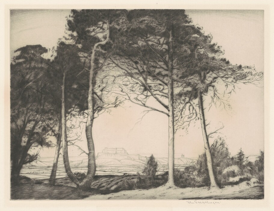 The image displays a scene viewed through a stand of tall, slender trees with a few thicker trunks. The trees are painted with detailed brushstrokes capturing the intertwining branches and textured bark. The trees form a frame in the foreground, leading the eye towards a low horizon. On the horizon, there is a distant structure, potentially a castle or large building. The color palette consists of black, gray, and white tones, highlighting the intricate details of the trees and the subtlety of the background landscape.