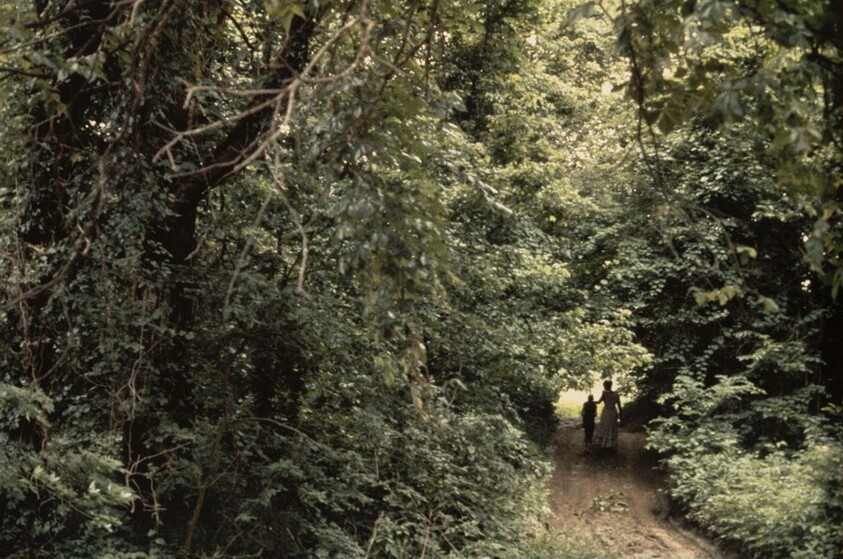 Lane in Fort Scott, Kansas