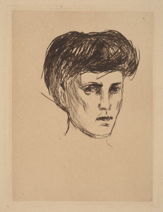 The image is a sketch of a person's head and neck. The person is facing slightly to the right with detailed facial features, including prominent cheekbones, a straight nose, a slightly downturned mouth, deep-set and expressive eyes, and voluminous hair styled to one side with bold, jagged lines. The focus is on the face and upper neck, with no visible clothing details. The background is plain and light-colored, with a subtle border framing the sketch.