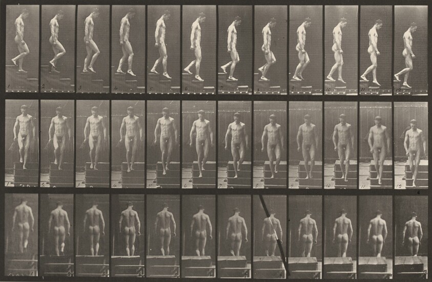 Plate Number 125. Descending stairs