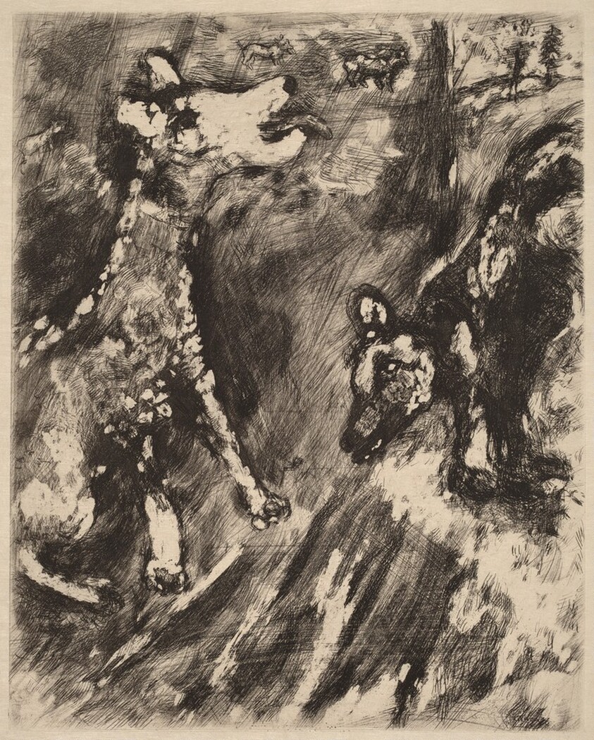 The Dog and Her Friend