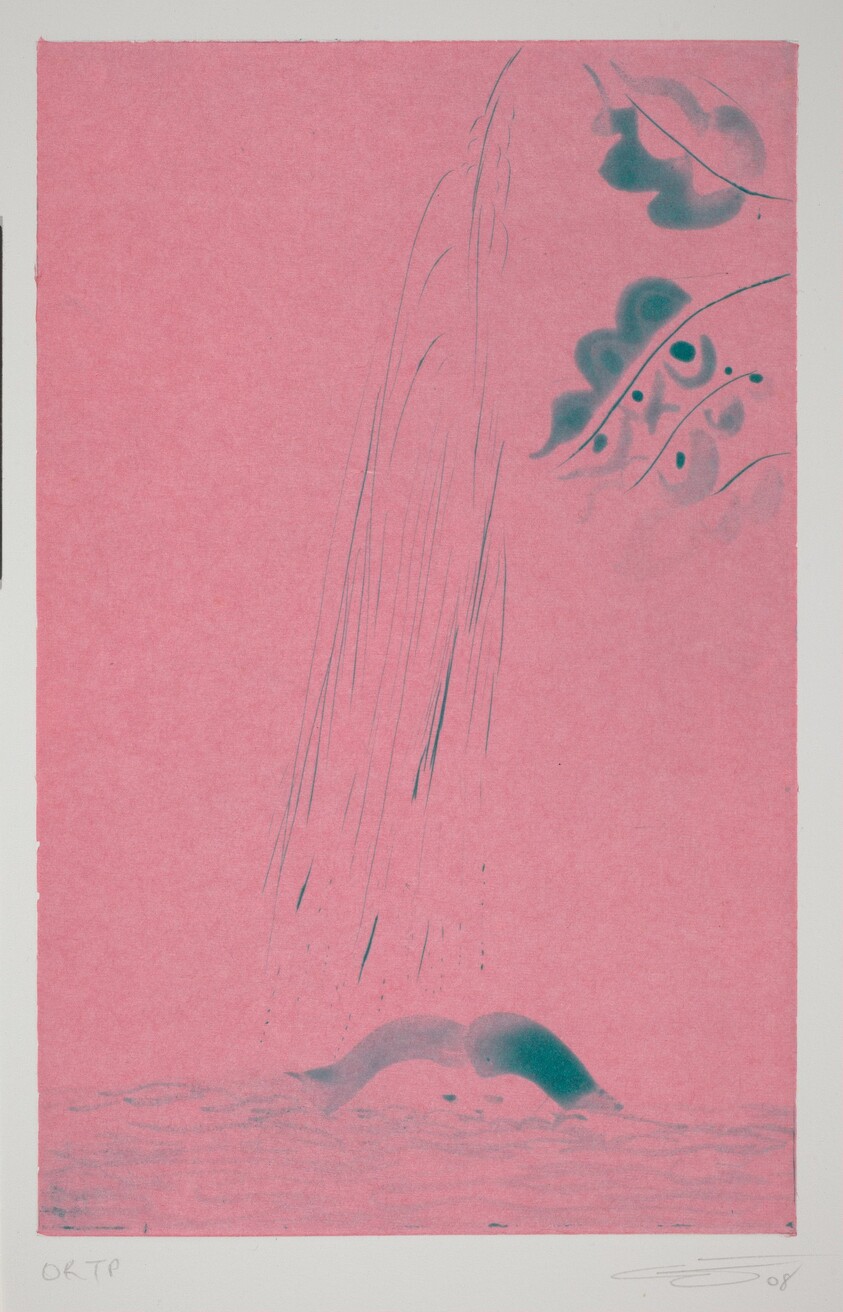 Rainbow - Paragon Pink