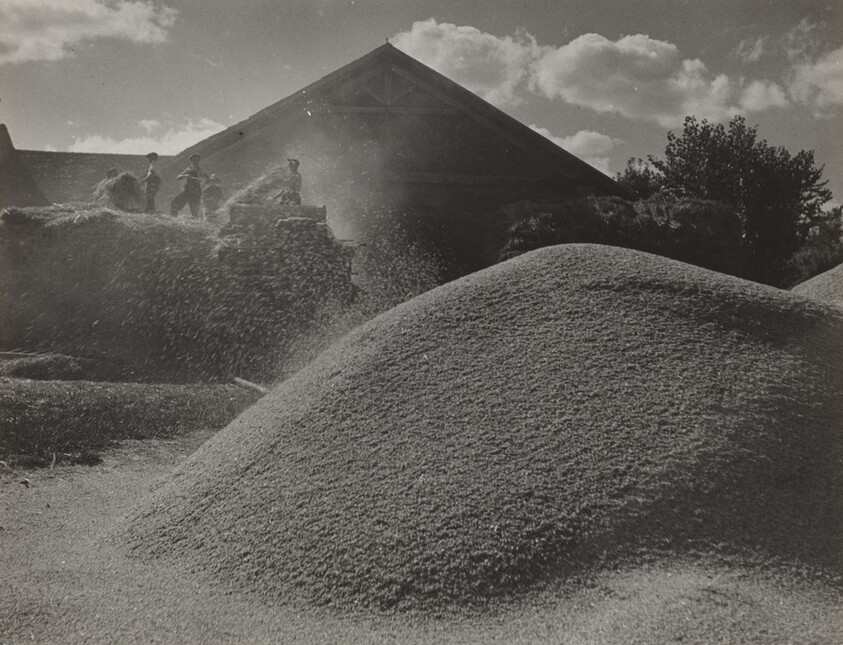 Wheat Threshing, Bourbon