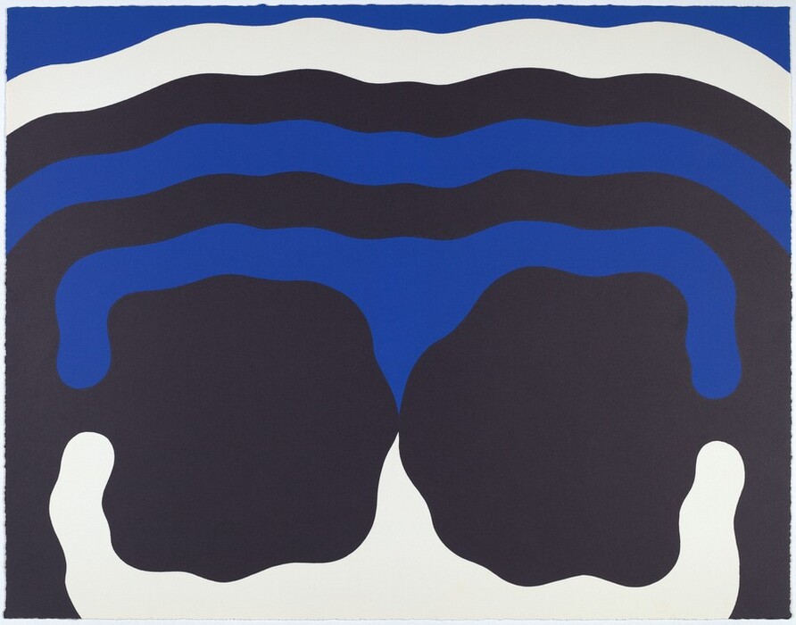 The image displays wavy, serpentine lines in black, blue, and white colors. The lines create an abstract design suggesting movement and rhythm, free from sharp angles or rigid lines.