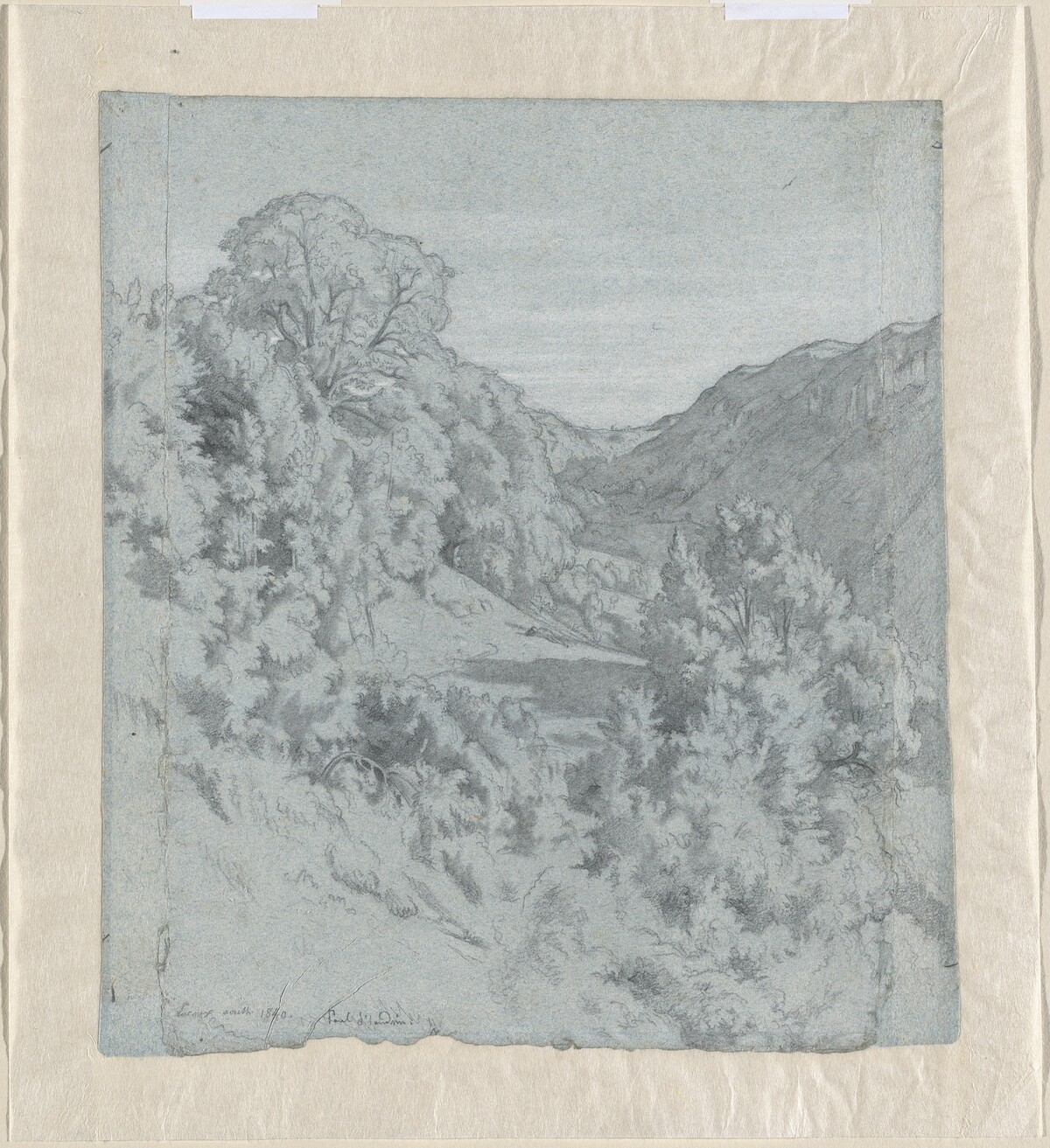 Sunlit Trees in a Valley near Lacoux