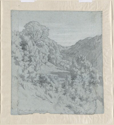 Sunlit Trees in a Valley near Lacoux