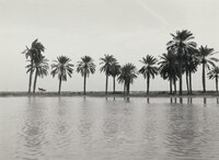 Untitled, Ursula Schulz-Dornburg, 1980