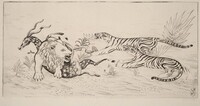 Lion Defending Her Prey (Lion defandant sa proie), Joseph Hecht, 1931