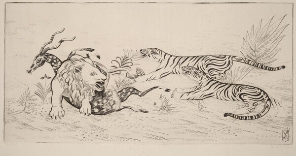 Lion Defending Her Prey (Lion defandant sa proie)