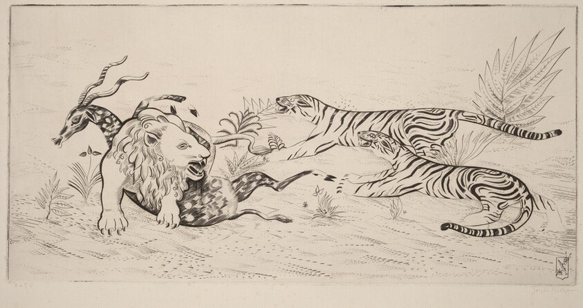 Lion Defending Her Prey (Lion defandant sa proie)