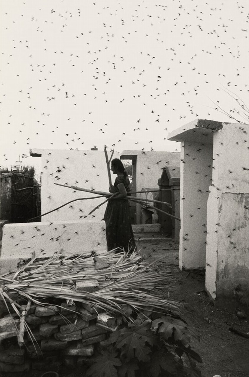 Cementerio, Juchitán, México (Cemetery, Juchitán, Mexico)