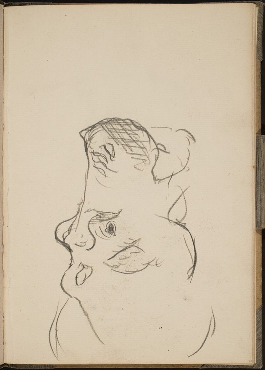 Nilpferdkopf im Profil (Hippo Head in Profile) [p. 17]