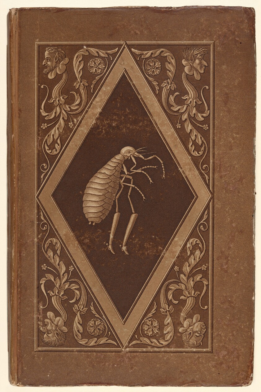 Meister Floh.  Ein Marchen in sieben Abentheuern zweier Freunde (Master Flea: A Fairy-Tale in Seven Adventures of Two Friends