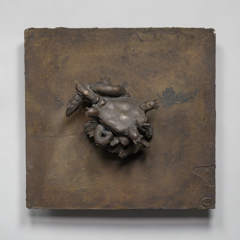 Turtle Seizing a Snake