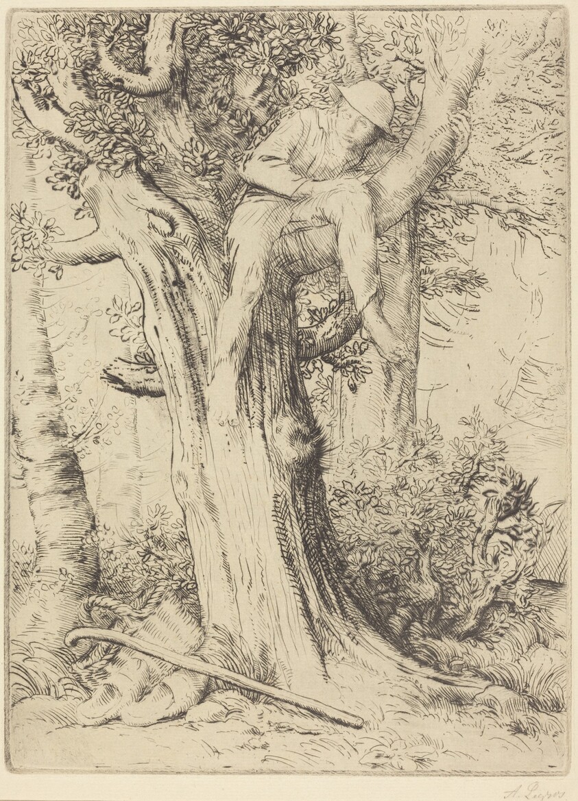 Landscape with a Boy in a Tree (Paysage avec un garcon gimpe sur un arbre dite "Le denicher d'oiseaux)