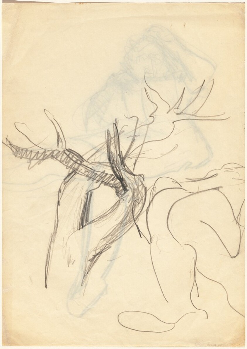 Studies of Tree Trunks and Limbs [verso]