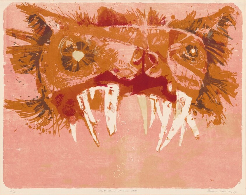 Wolf, Blind in One Eye