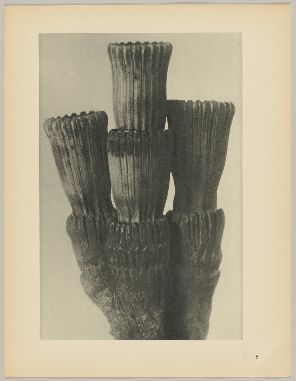 The sculpture depicts a form resembling a cluster of elongated, cylindrical shapes, each topped with rounded, flared ends. The material appears to be stone, indicated by the rough, textured surface visible in the monochrome image. The sculpture is presented in an upward direction, reaching towards the top of the image.