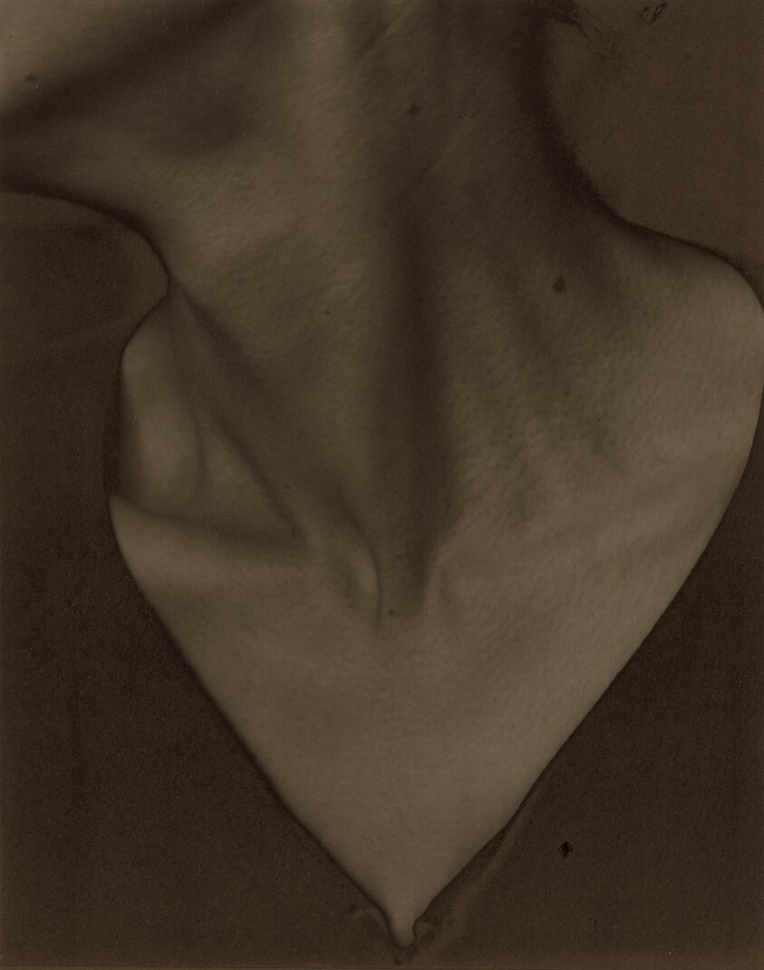 Georgia O'Keeffe—Neck