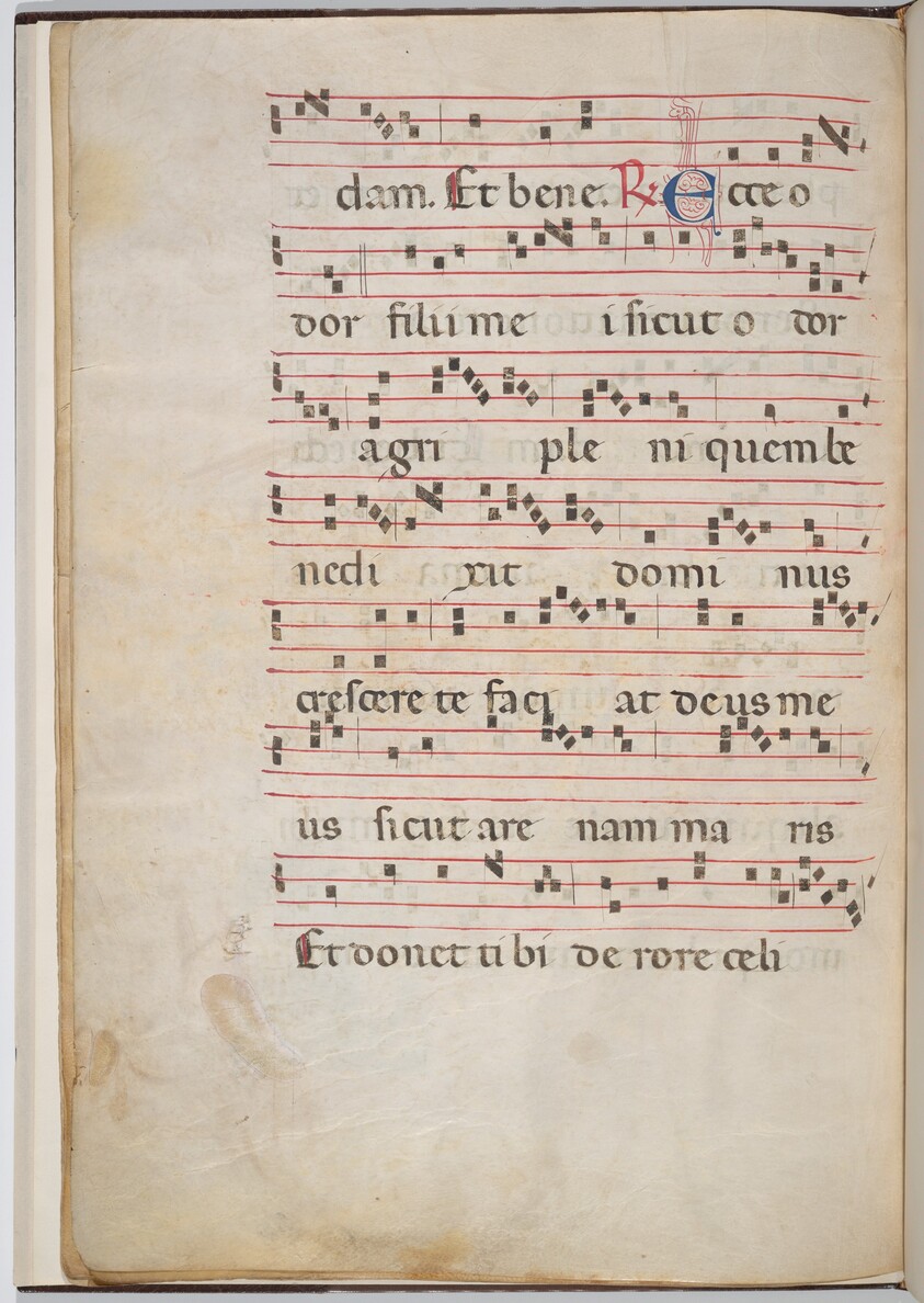 Leaf 8 from an antiphonal fragment (verso)
