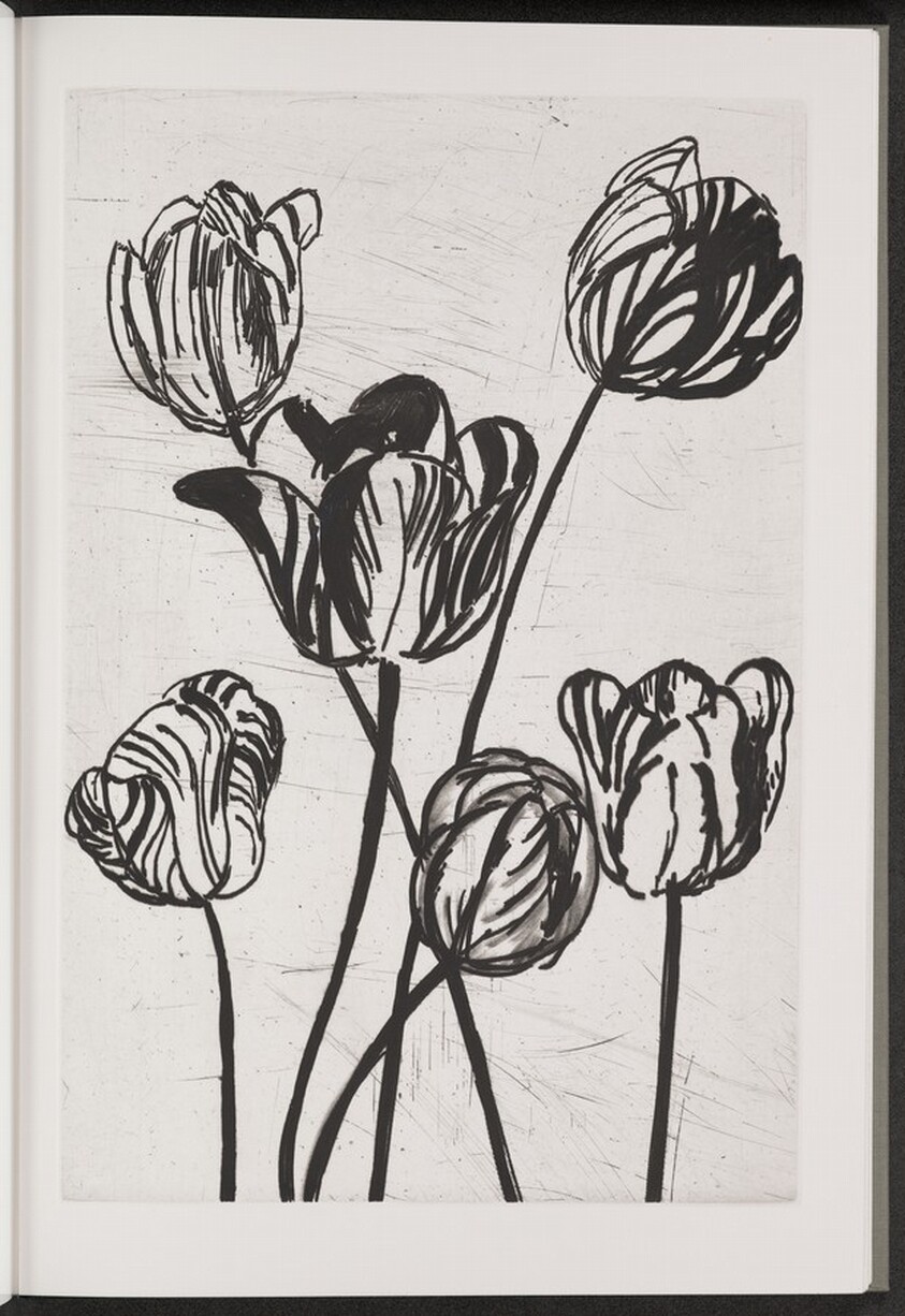 Tulip