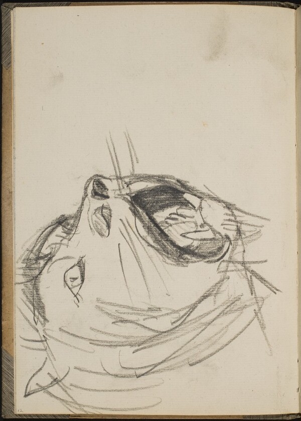 Löwe mit aufgerissenem Maul (Lion Baring Teeth) [p. 12]