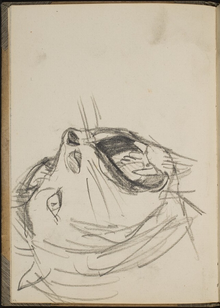 Löwe mit aufgerissenem Maul (Lion Baring Teeth) [p. 12]