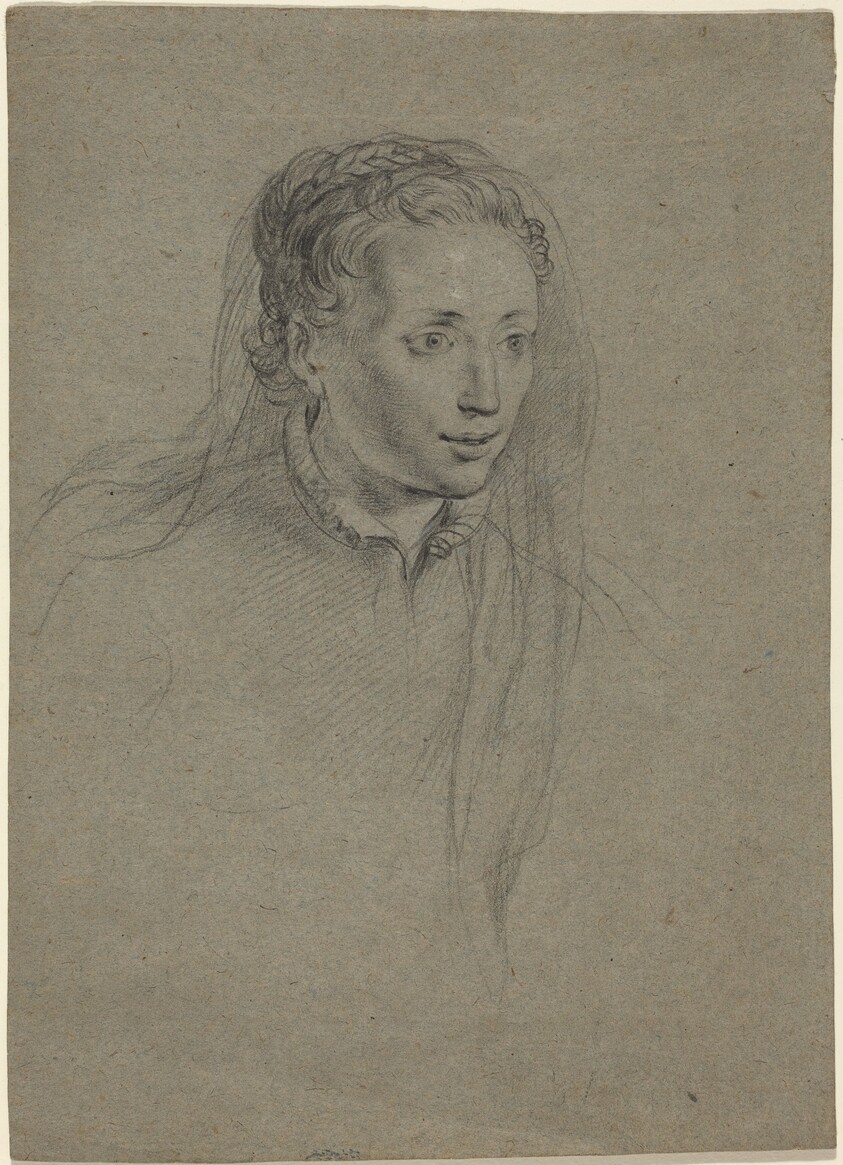 Young Woman with Braided Hair and a Veil