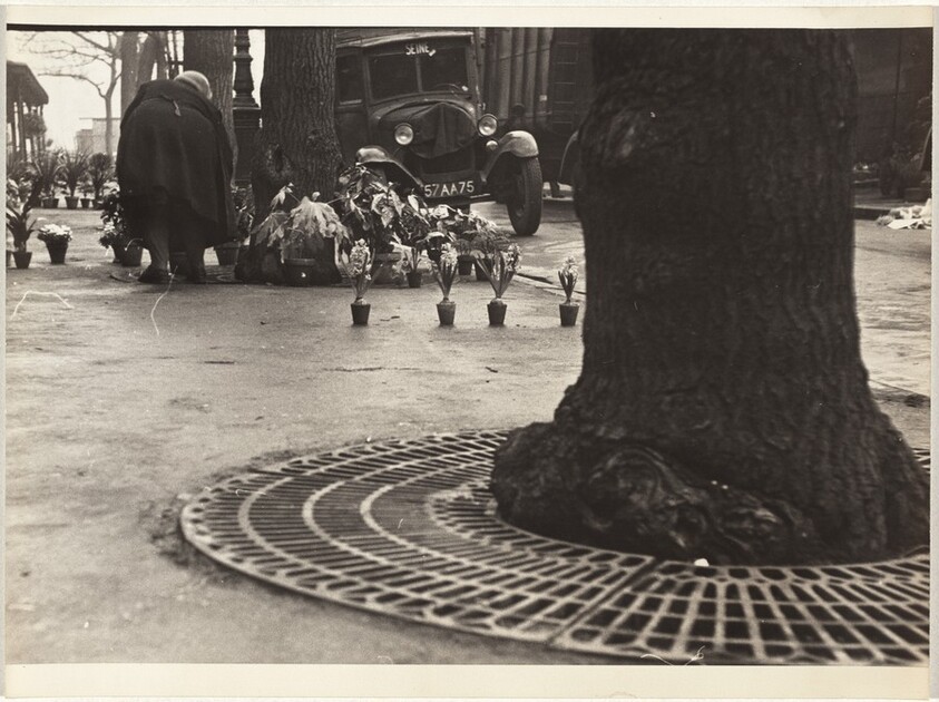 Flower vendor on street, Paris