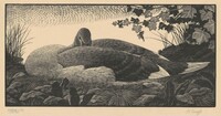 Cygnet, Charles Frederick Tunnicliffe, 1934
