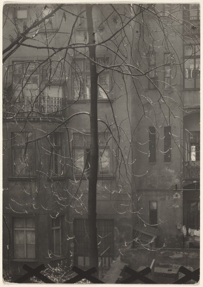 Pohled Do Dvora (View of Courtyard)