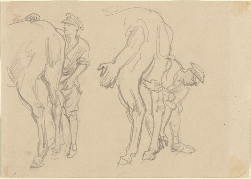 Studies for "Scots Grey"