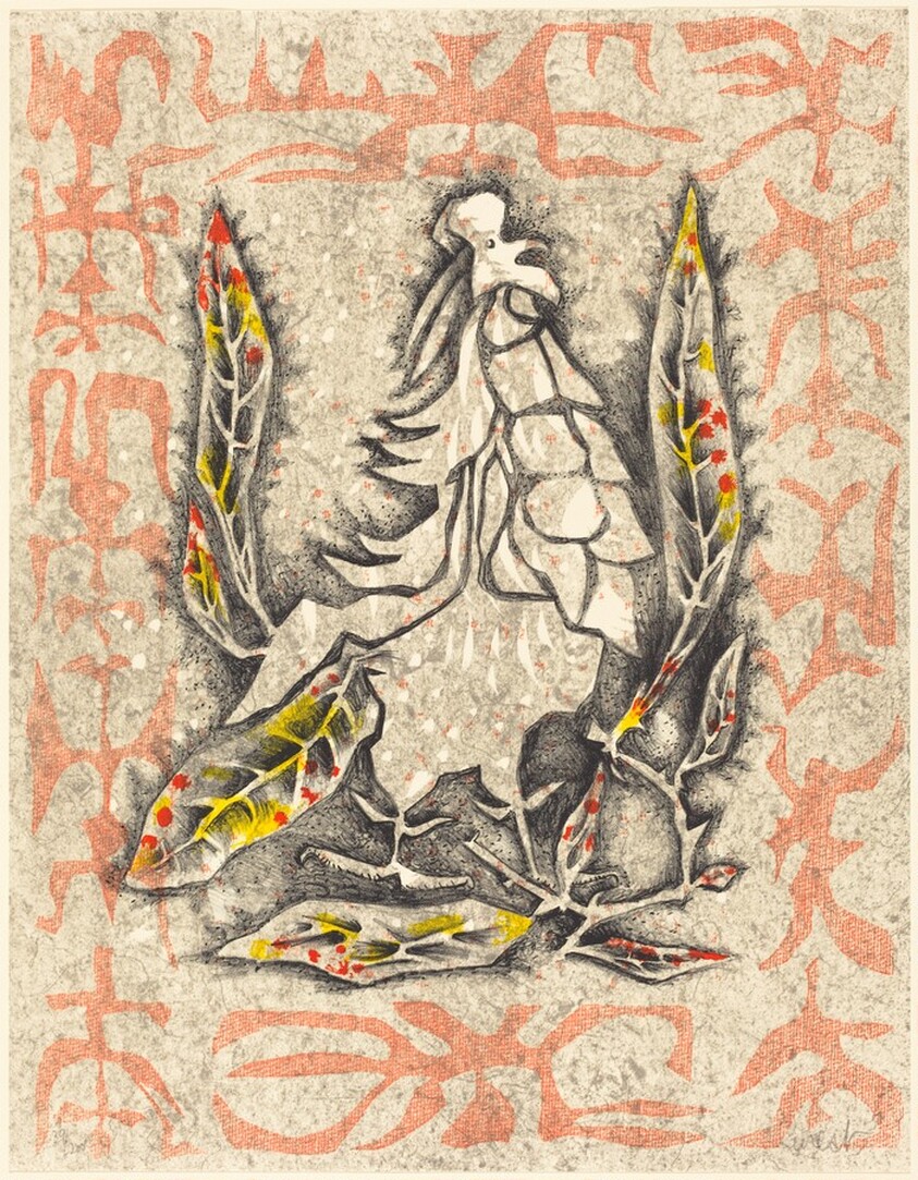 Masked Pheasant (Faisan masque)