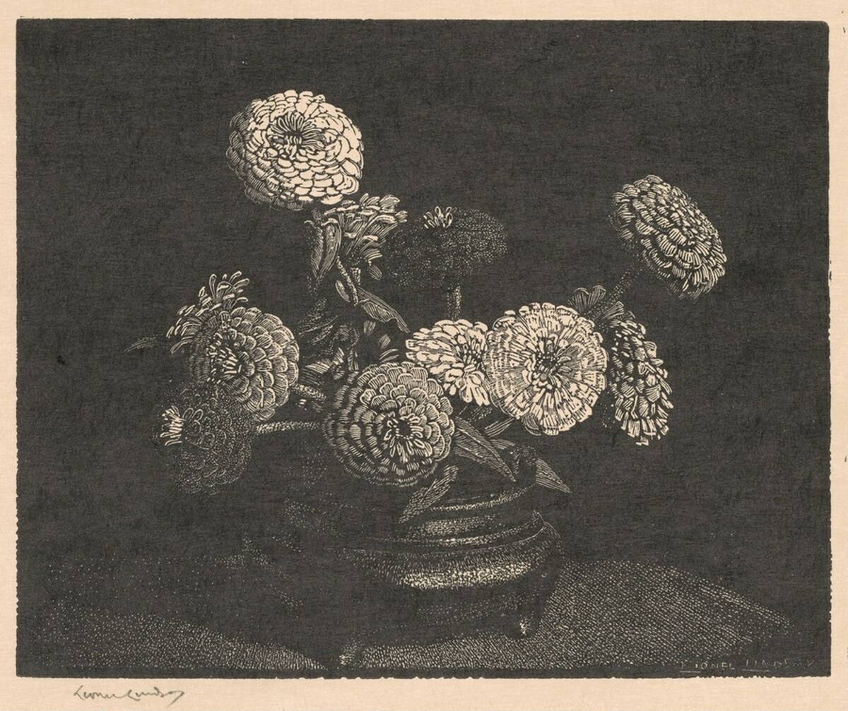 Zinnias