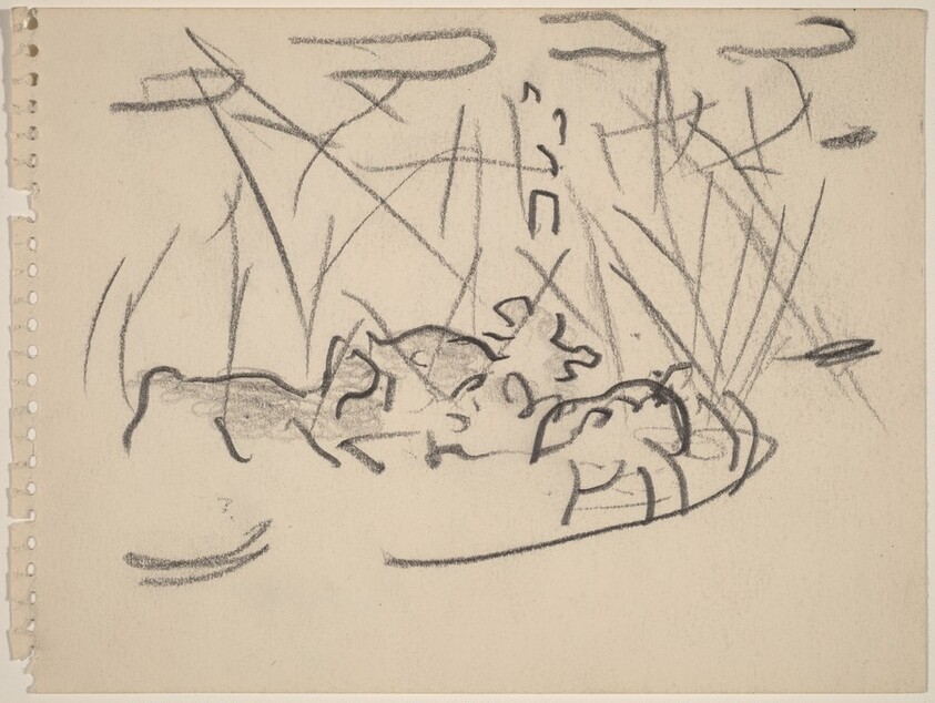 Untitled (In the Ring)